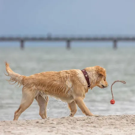 아파트 Boddentraum - 5 Sterne Mit Blick Auf Malerische Ostseebad 부스트로우